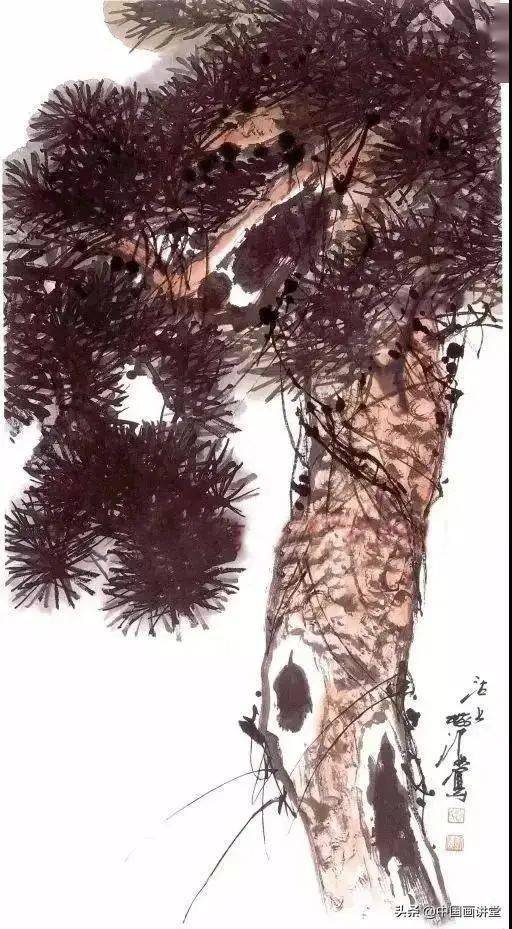 彩墨花鸟画法之松树画法_松针