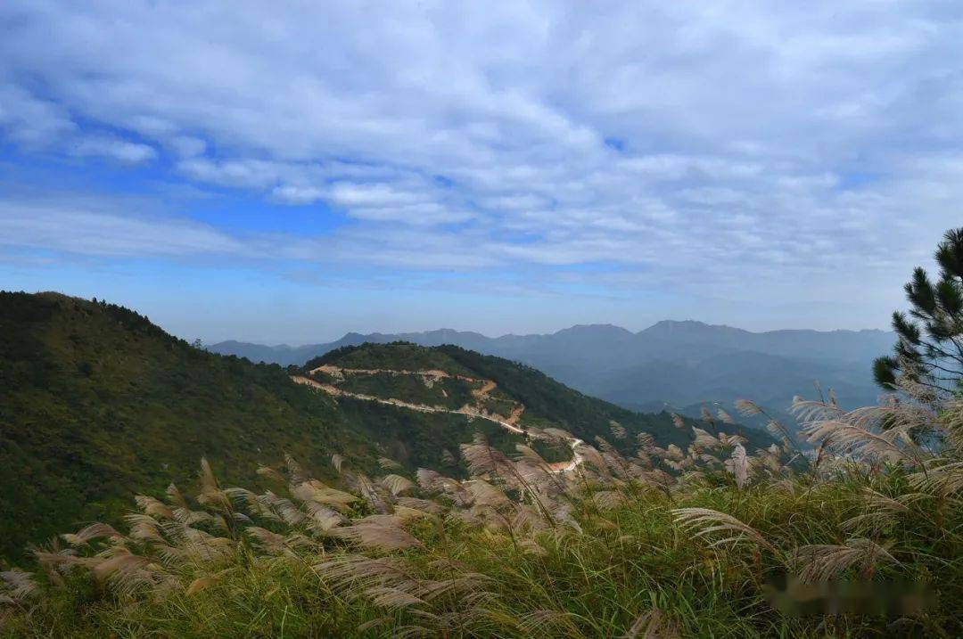陈平镇名山生态旅游区图片