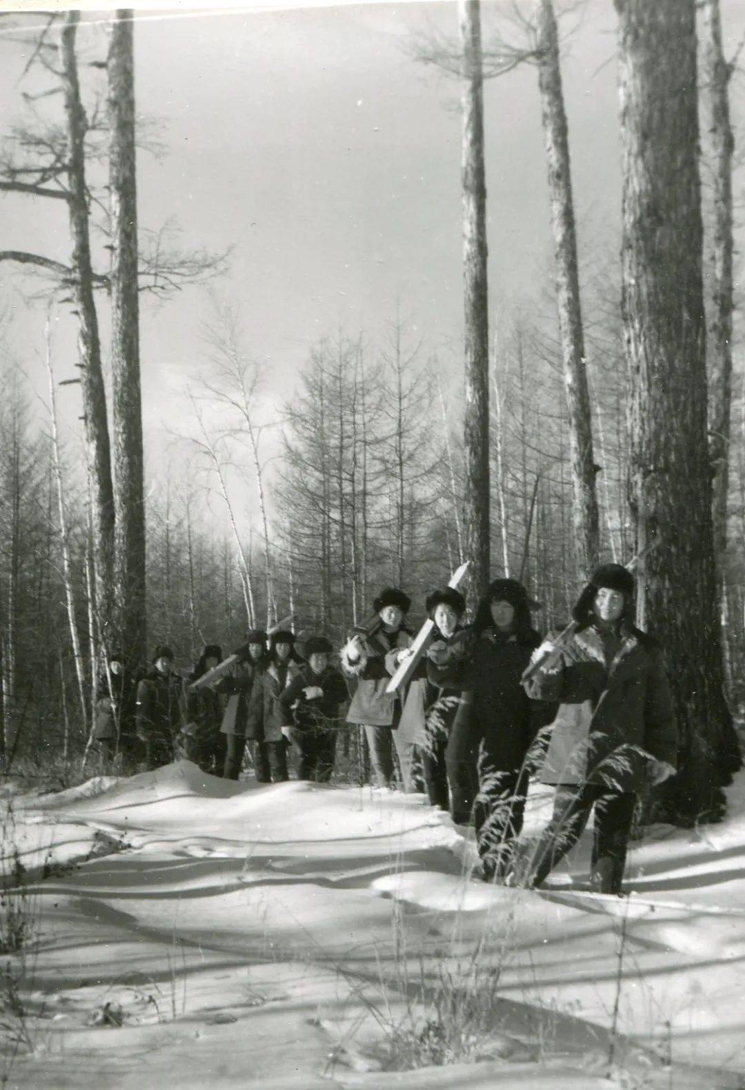 林区往事咱爸咱妈年轻时