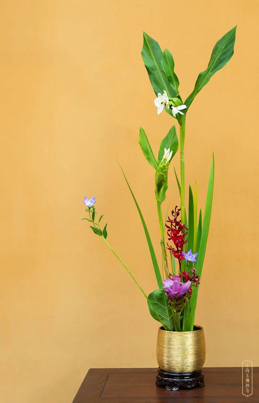期和佛菩萨圣诞等佛教重大节日,邀请专业花艺师配合寺院法师插花供佛