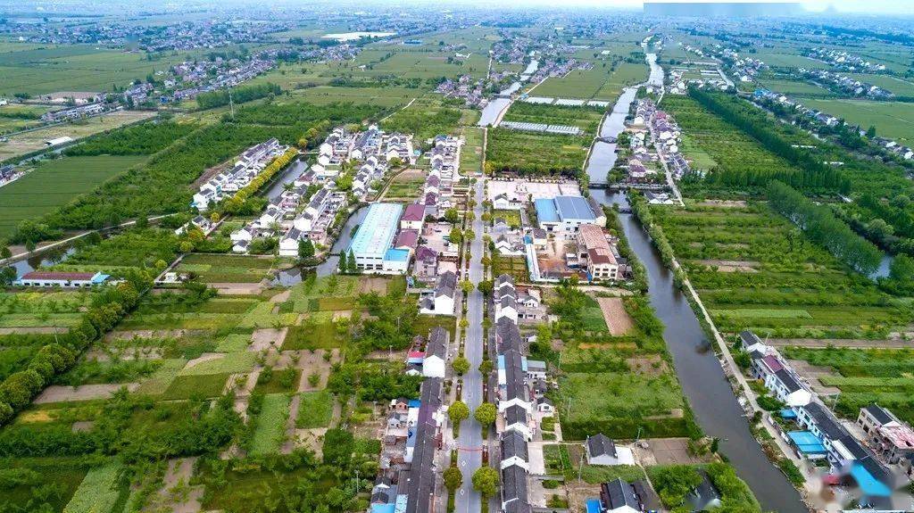 泰兴农村集体经营性建设用地入市!