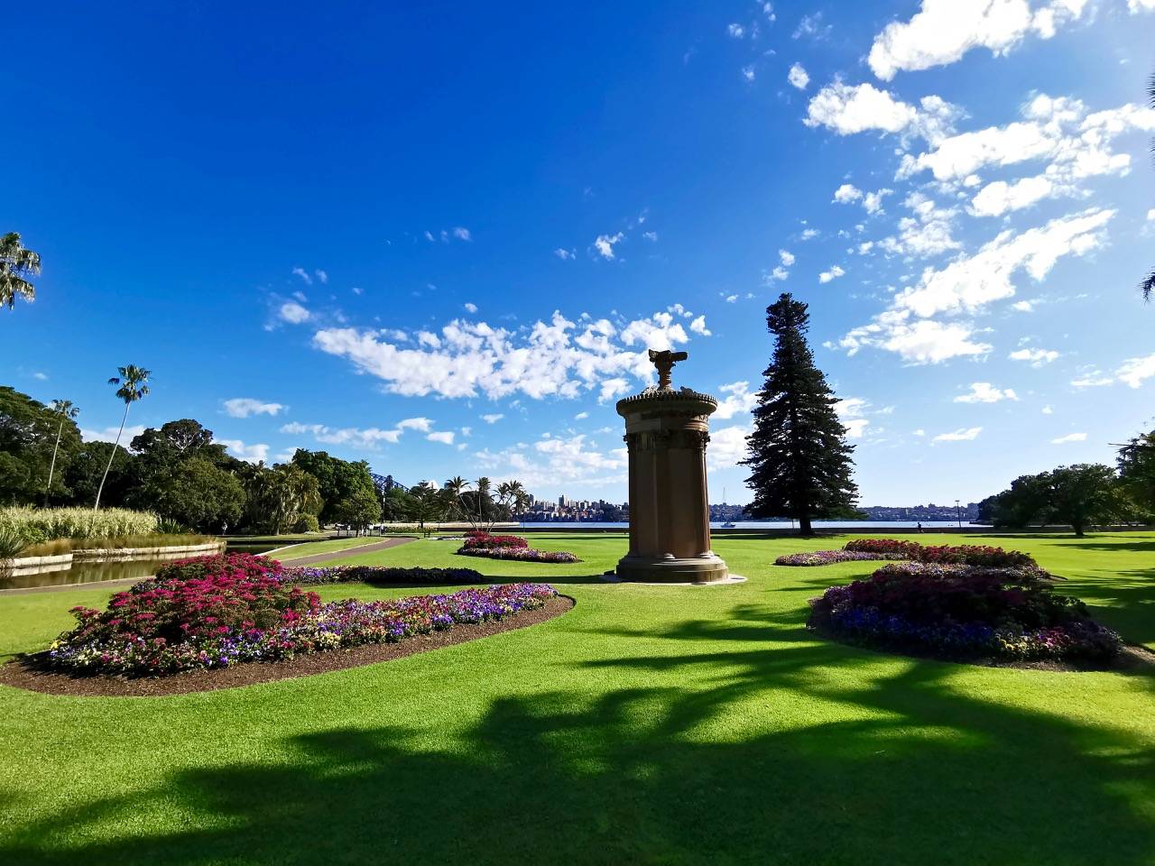 蓝天白云绿地!悉尼皇家植物园我的2020后花园_鸟儿