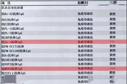 肌炎抗体谱图片