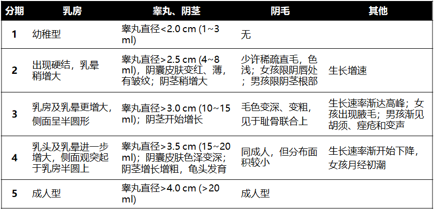 男tanner分期图图片