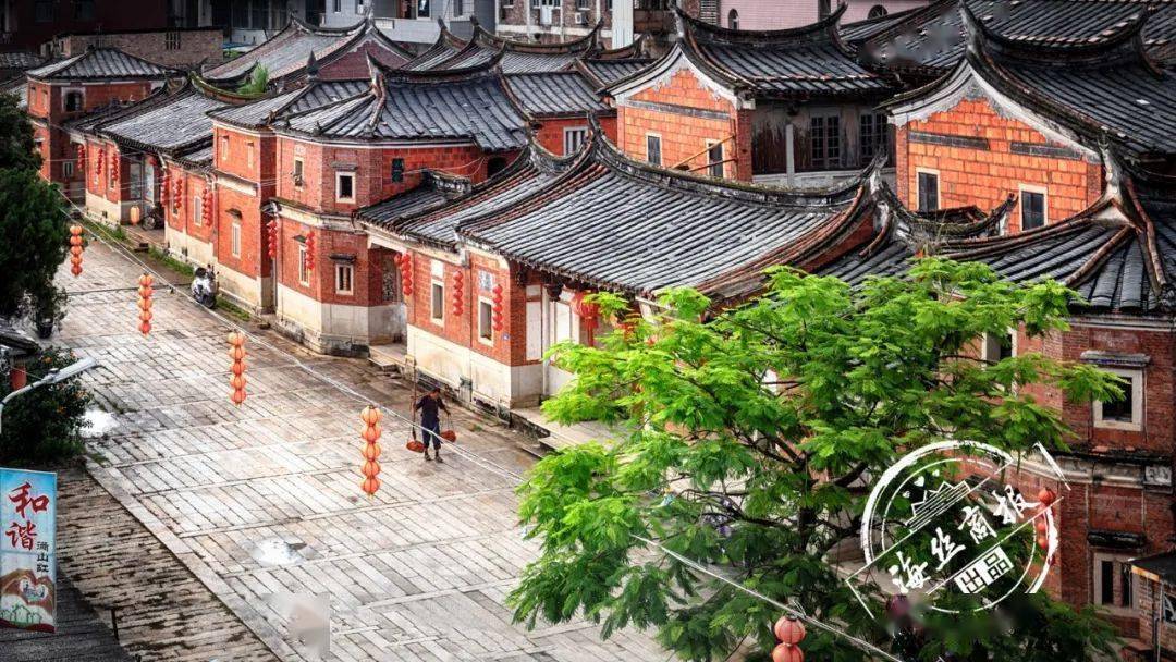 昨日傍晚,记者来到满山红村时,只见林路厝背山面水,厝前是绿油油的