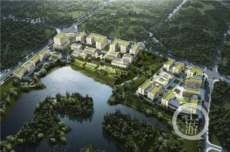 重庆青凤工业园规划图图片