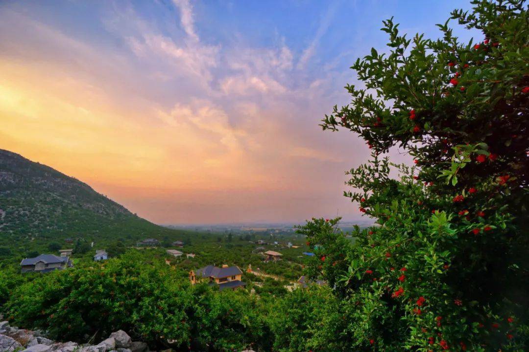 新年献词:走在全面振兴的石榴大道上_榴园