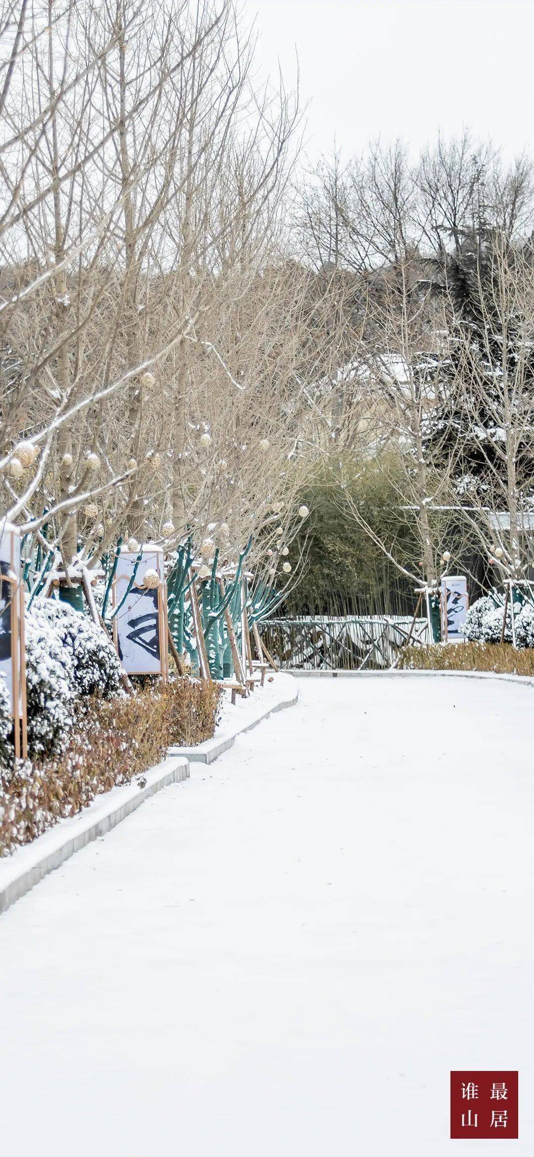 冬見山骨|2020濟南最美雪景壁紙驚豔上線!