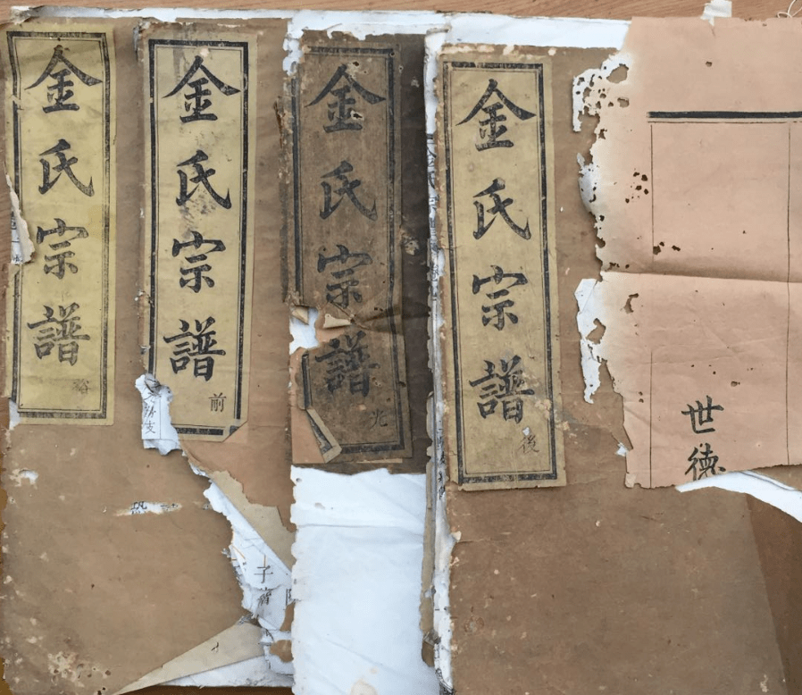 上虞渔门金氏寻亲启示