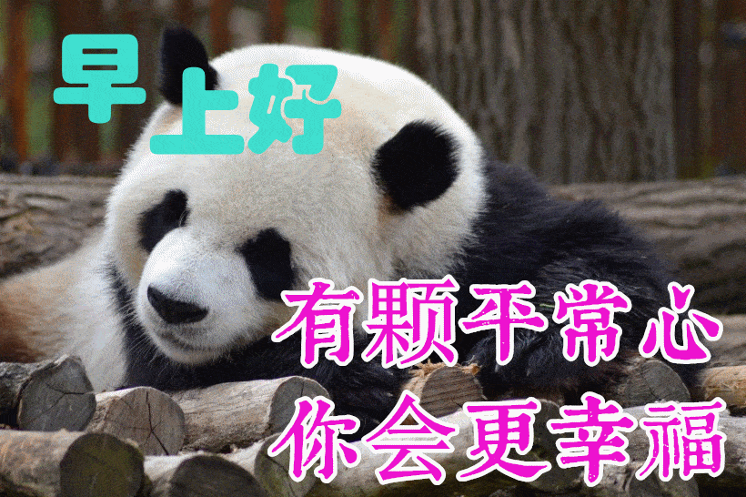 12月30日最新早上好祝福语大全,早上好问候语句子!