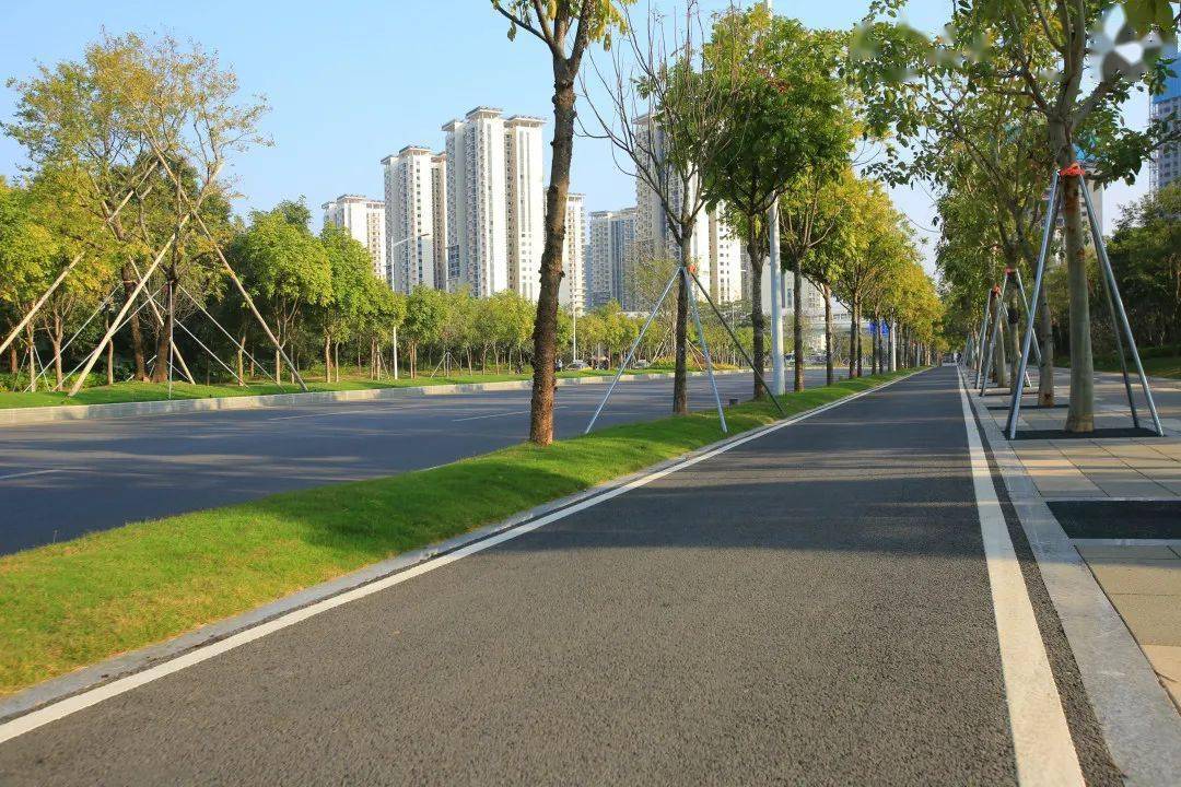 聚焦白改黑慢行提升光明打造高质量高颜值道路