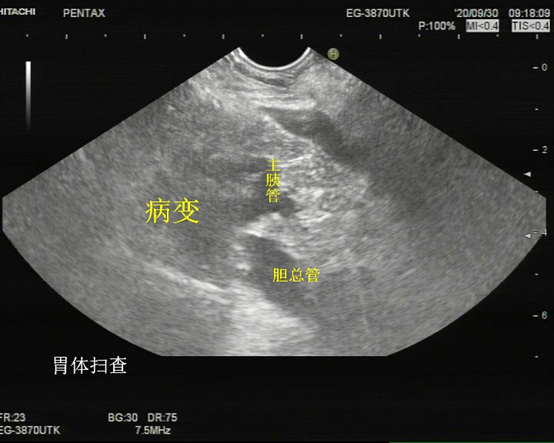 根据以上情况