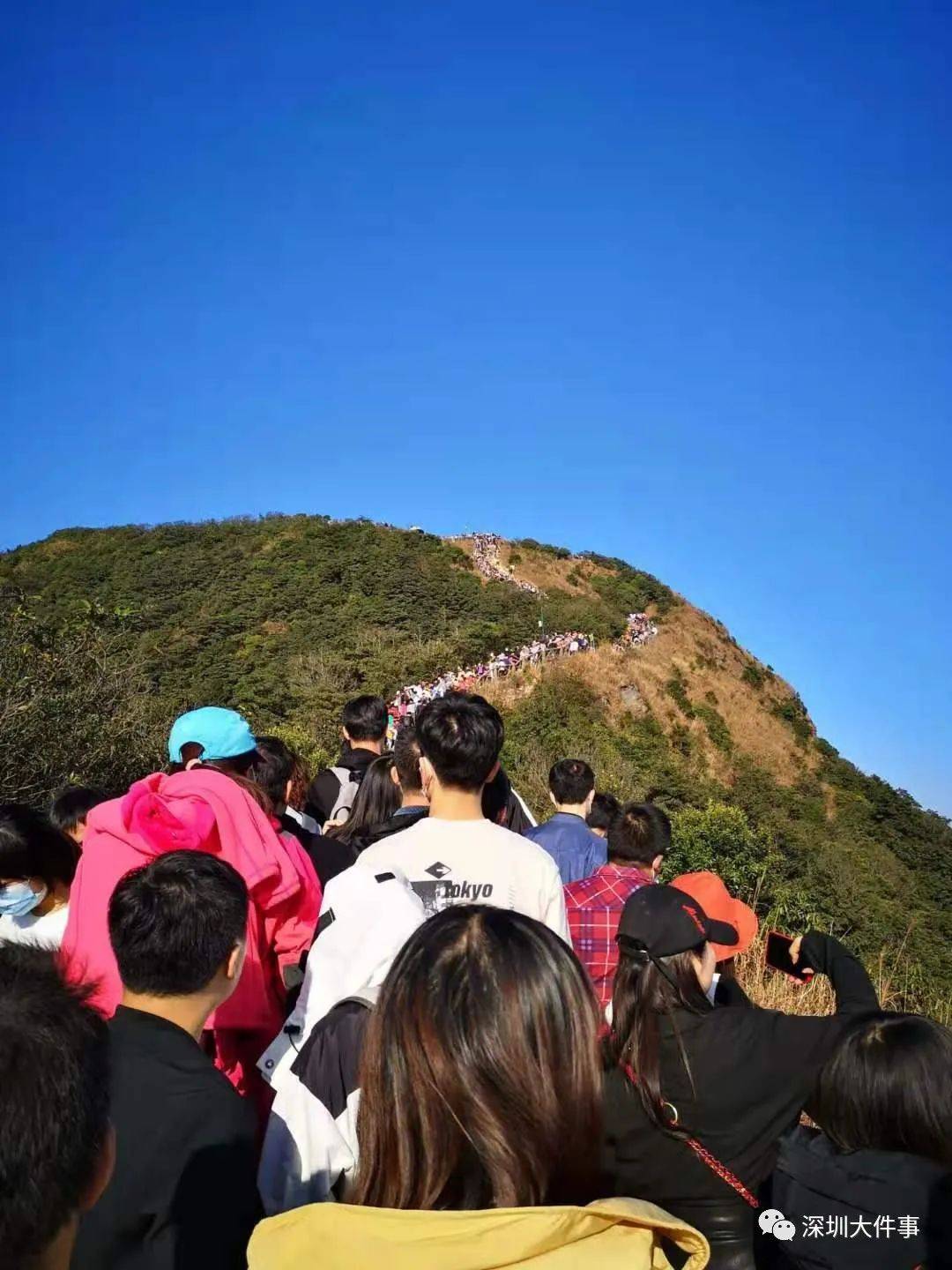 今天深圳各大 景區 也感受到大家出行的熱情 ▼ 梧桐山 到了今晚20