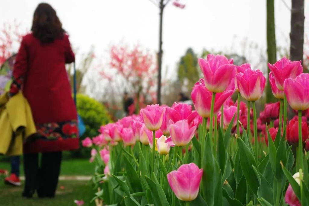 什邡时光花境艺术公园图片