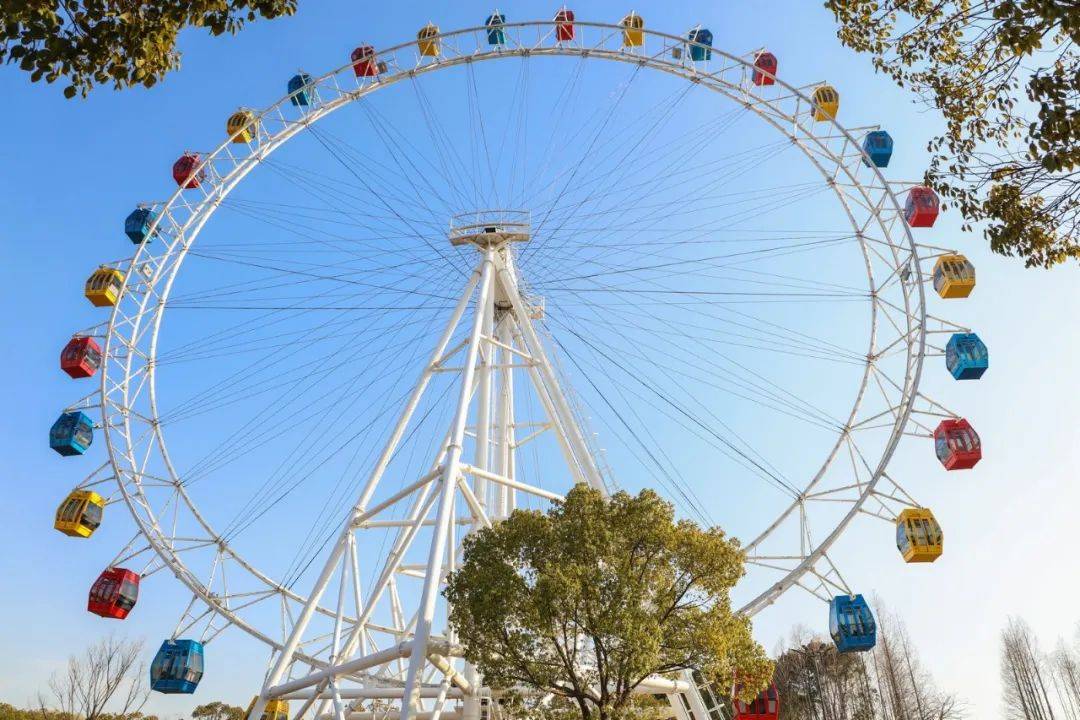 就差一個好地方啦 來上海野生動物園絕對超值!