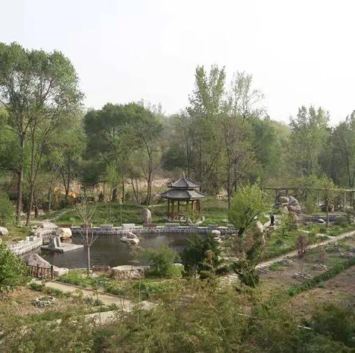 登封这个村被命名为河南省文化产业特色乡村
