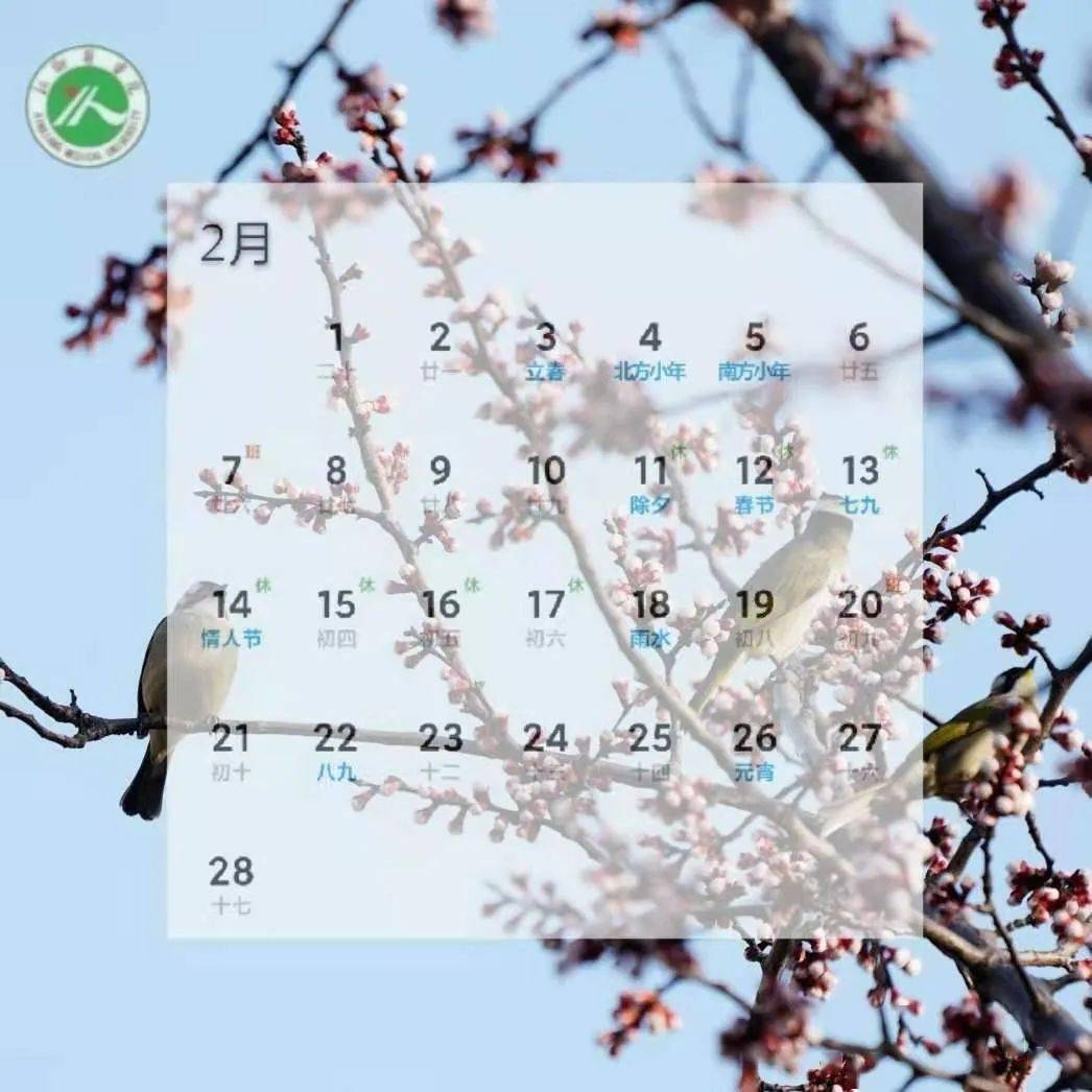 喜迎2021新医er专属新年日历请查收