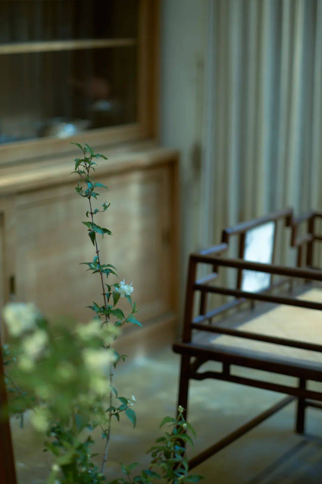 澹然无极,而众美从之-搜狐大视野-搜狐新闻