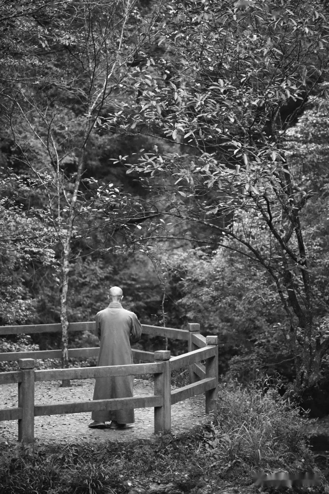 许多人慕名远道而来,或为求取这位僧人的画作,或为聆听僧人吹奏箫曲