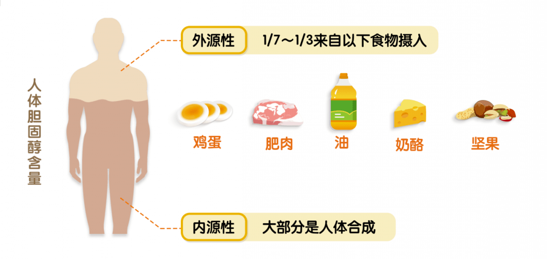 吃雞蛋不吃蛋黃因為膽固醇高