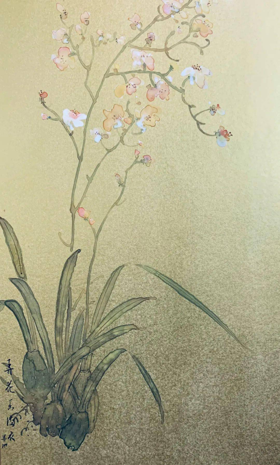 苏门画苑中央美术学院苏百钧教授工笔花鸟画高研班没骨课程作品汇报