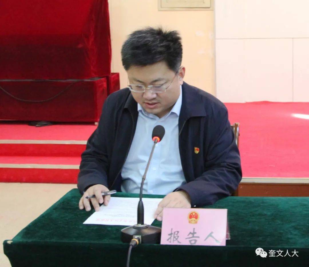 区财政局局长刘洪涛作关于潍坊市奎文区2020年预算调整方案(草案)的