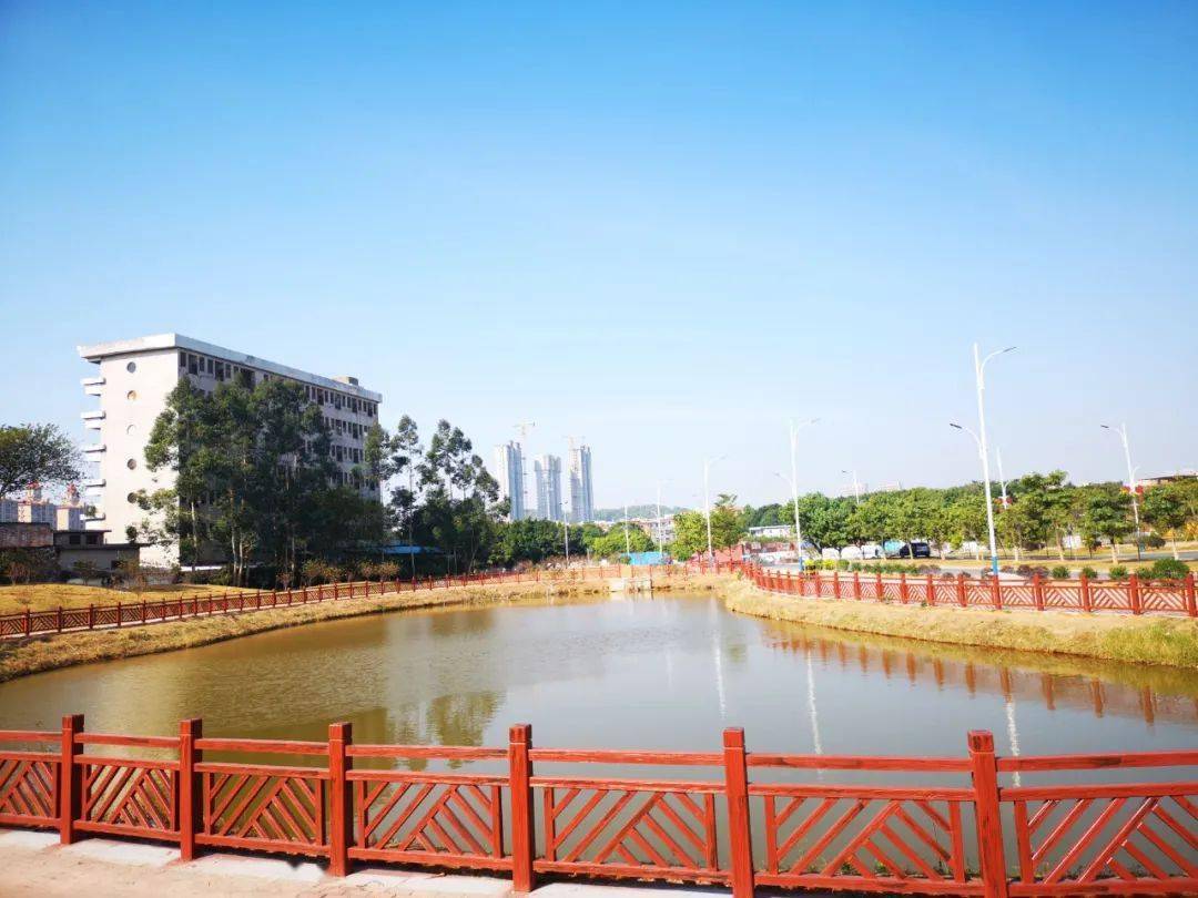 钟村街坊假日不用出远门番禺本地就有打卡点