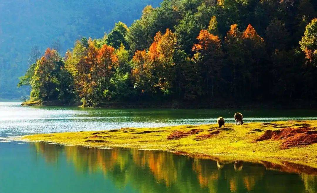 在阳光照射下也煞是好看.