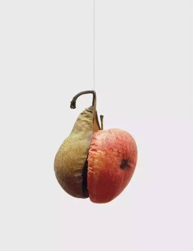 乌尔斯费舍尔ursfischer视觉的狂想者