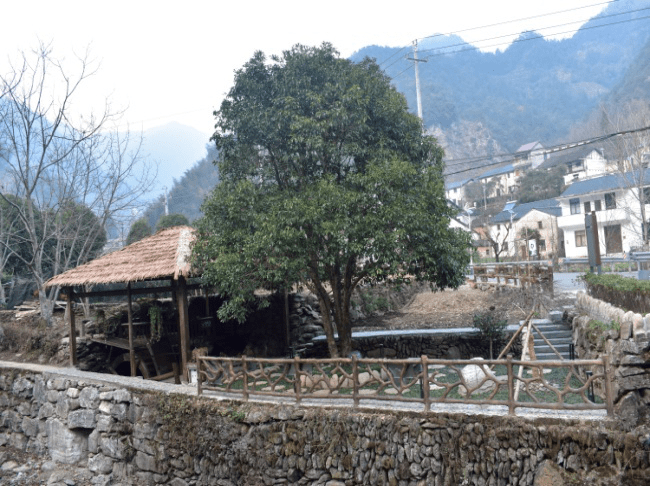 临安区新时代美丽乡村建设成果展(一)——湍口镇桐坑村