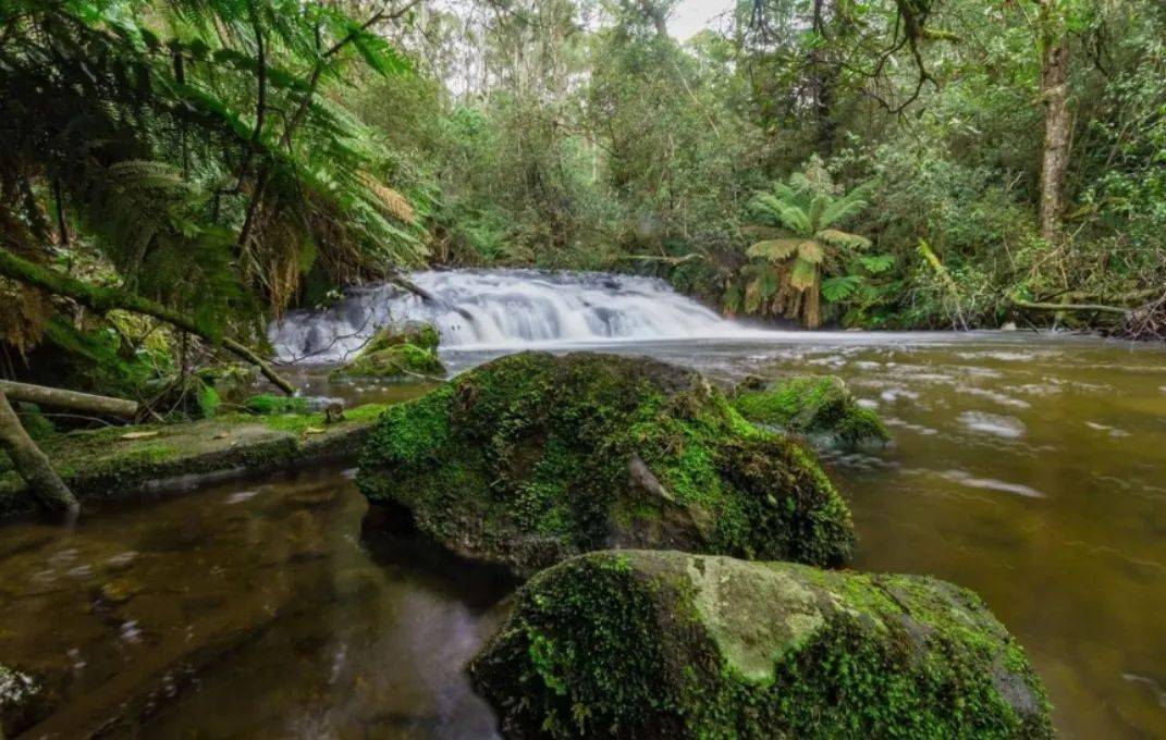 这个瀑布坐落于卢比肯国家森林(rubicon state forest)的山底.