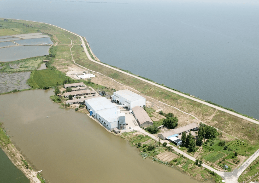 鹤汀凫渚乐彼之园南昌高新区白鹤小镇打造精神的原乡