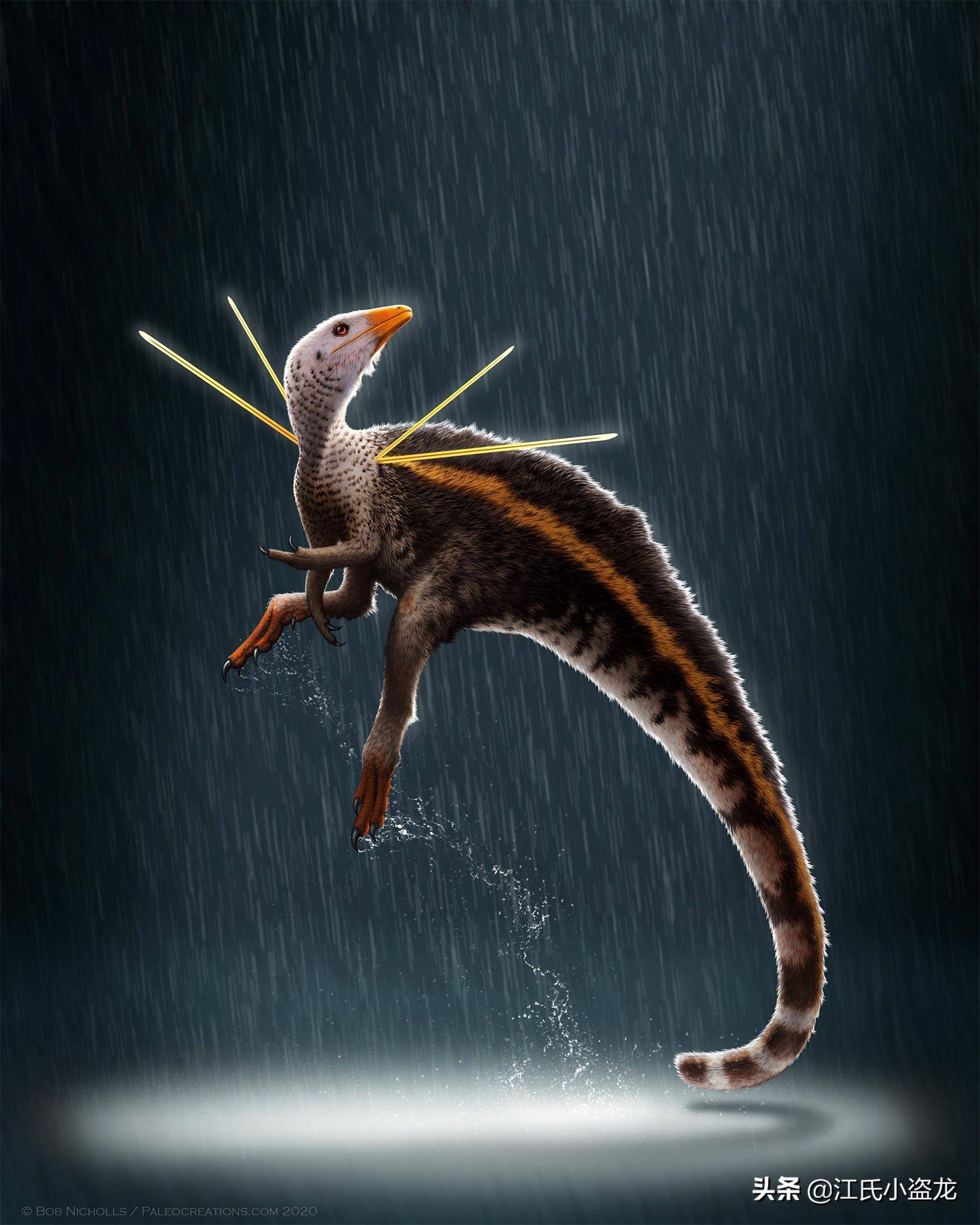 2020古生物学家到底命名了多少种恐龙