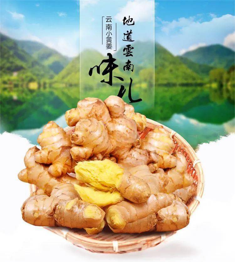 云南小黄姜精致生活不姜就