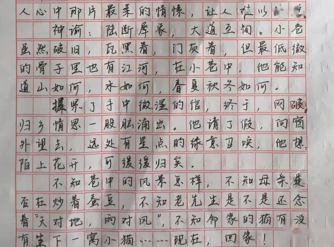 高三学霸在语文作文中写出了让人羡慕的字迹连老师都佩服不已