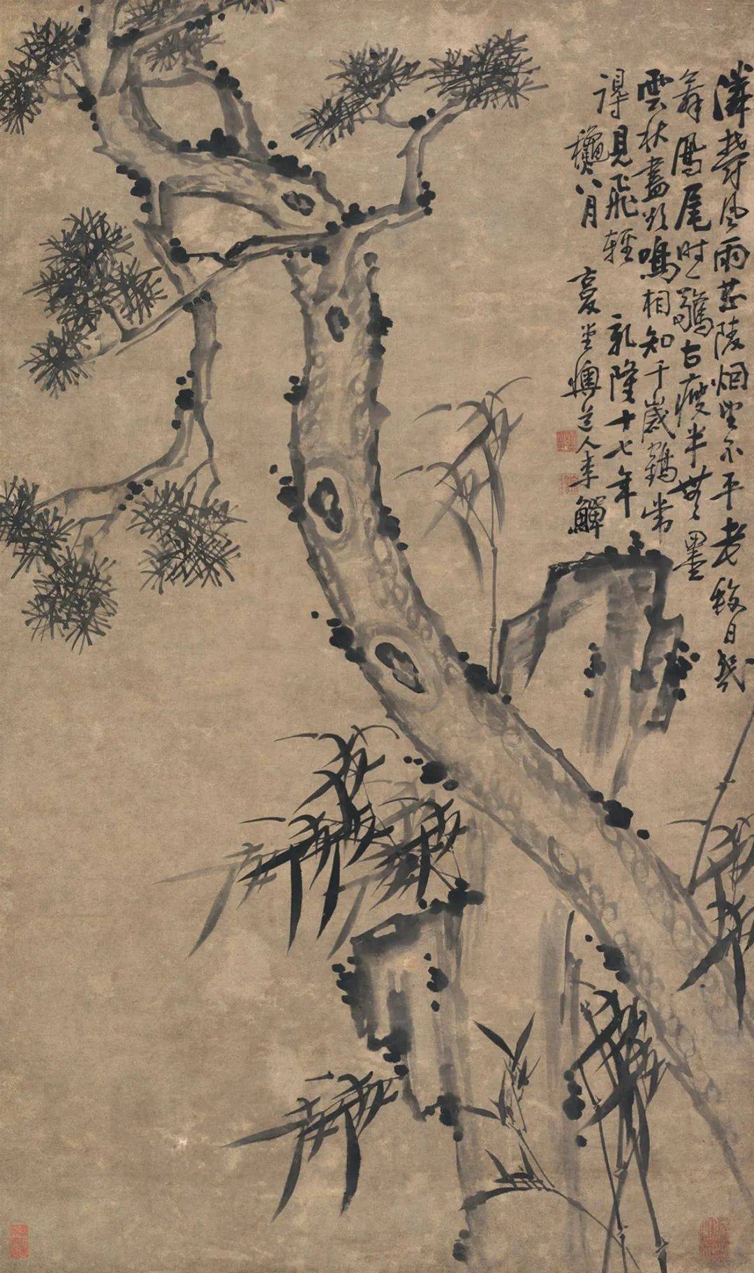 他笔下的松:怪枝横生,盘曲如龙!_松树