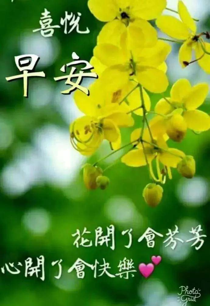 親愛的朋友早安祝願你一生幸福健康平安