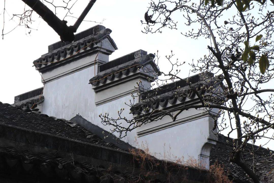 园林有多花心看墙垣如何作答