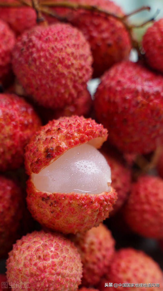 跟这两种荔枝比,妃子笑也只能做配角?