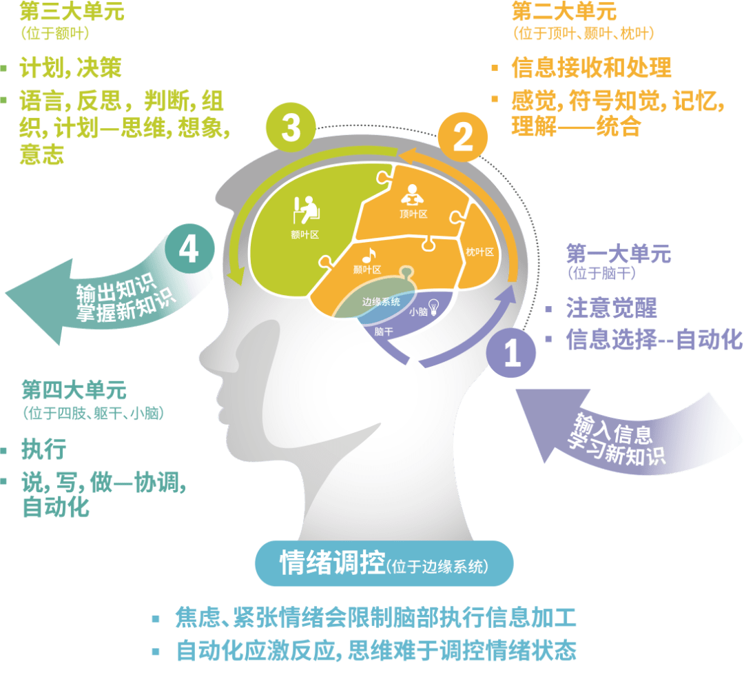 专注力下降等于智商下降!你知道原因吗?