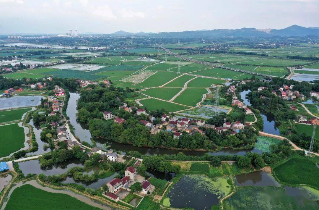 市(58个)合肥市(58个)庐江县(11个)68矾山镇东明村,乐桥镇杨岗村