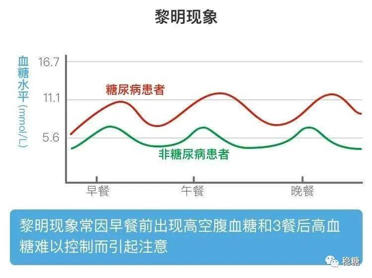 正常人24小时血糖变化图片