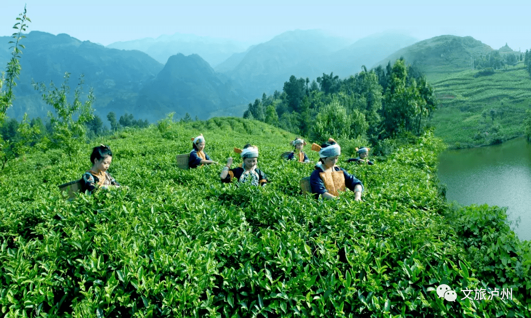 黄荆原林村2个省级乡村旅游特色乡镇↓↓↓↓↓黄荆镇黄荆老林景区太