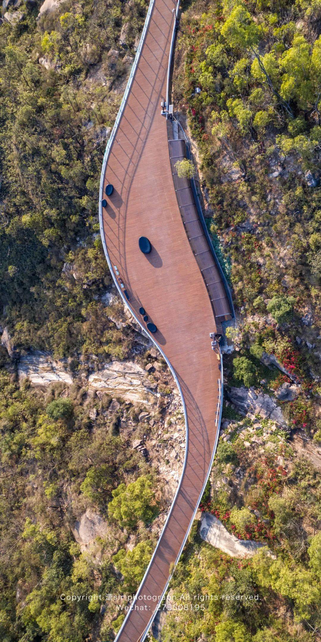 珠海板樟山人行栈道图片