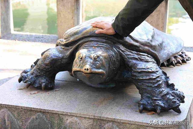 西园寺另一个看点则是五百罗汉堂,这是中国四大罗汉堂之一,工作人员看