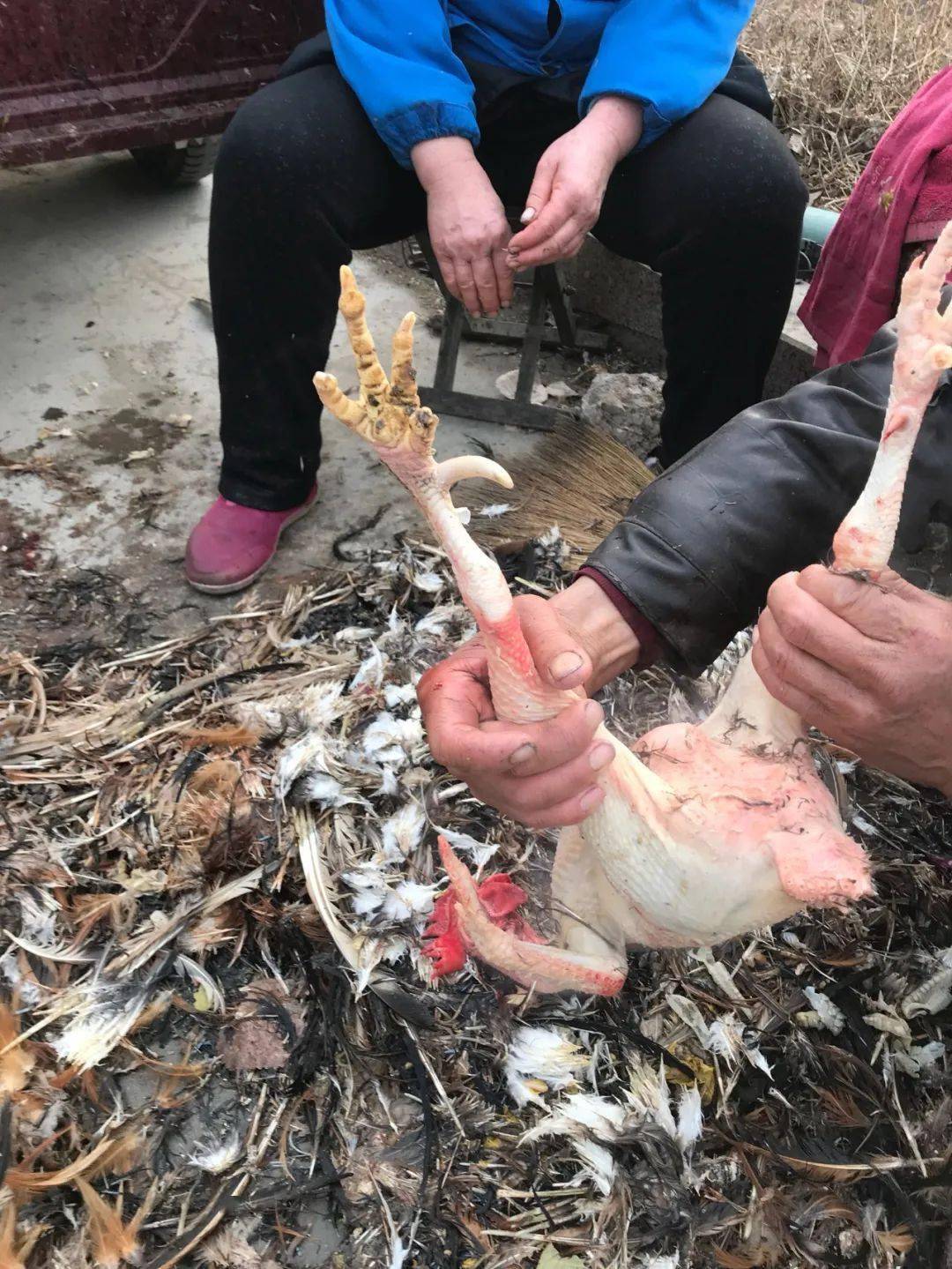 两三百一对,还批量生产了!_鸡爪