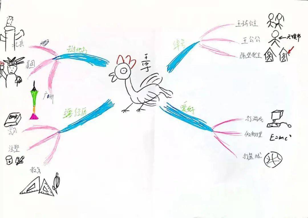 鸡的思维导图怎么画图片