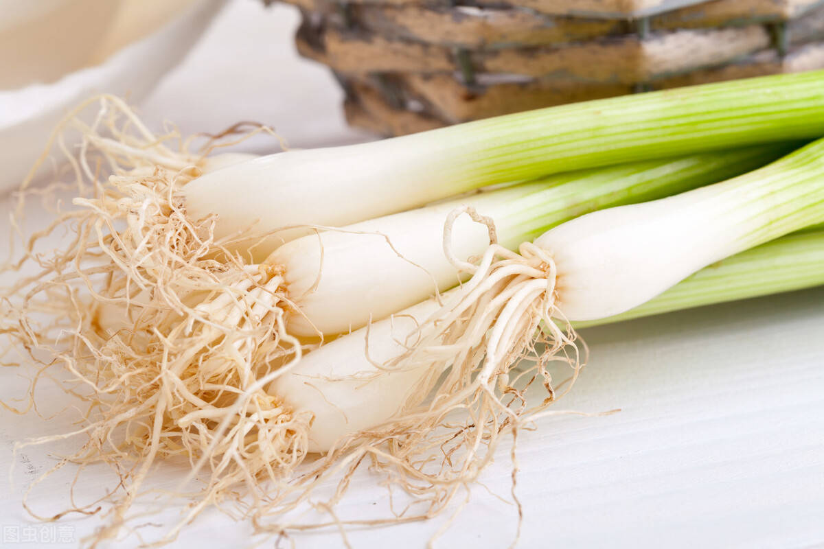 葱白在养猪生产上有妙用学会了防治多种猪病