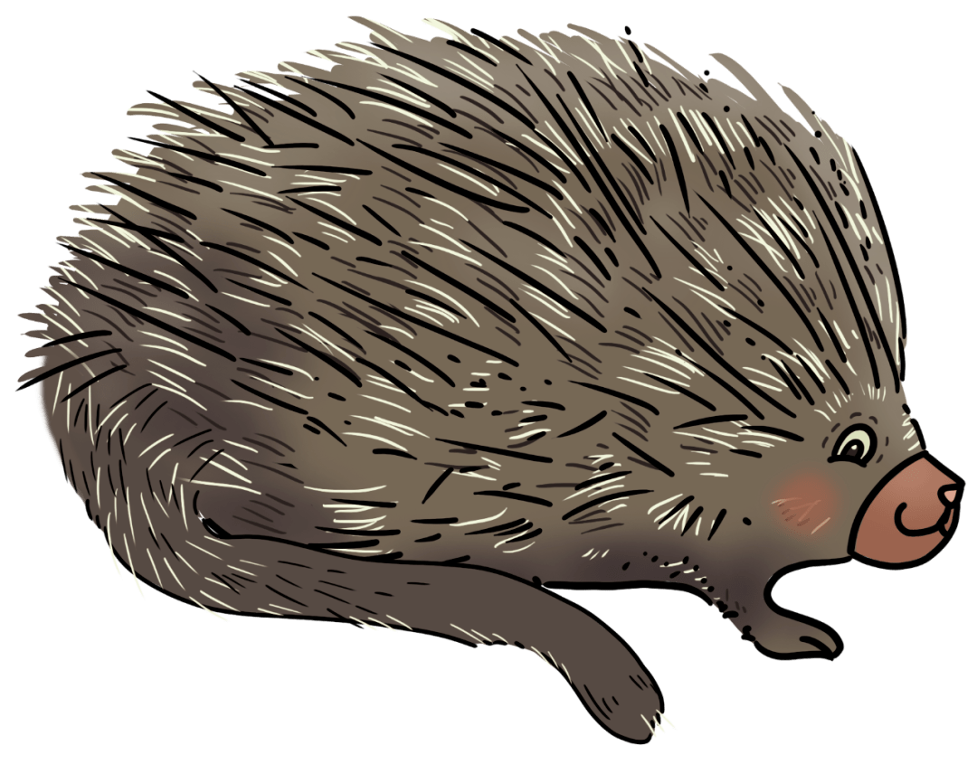 快看千姿百态的耗子尾巴