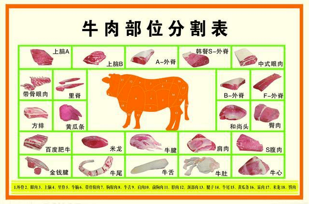 牛肉最适合涮锅的部位图片